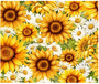 YOU ARE MY SUNSHINE DAISIES AND SUNFLOWERS