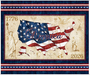 1776  AMERICAN FLAG PANEL