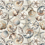 COASTAL ESCAPE SHELLS NEUTRAL