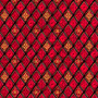 A STAR ABOVE STAINED GLASS LATTICE - RED