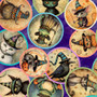 WITCHYPOO ANIMAL WITCHES MEDALLIONS IN PURPLE