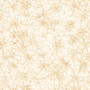 WITCHYPOO SPIDERWEBS IN TAN