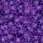 WITCHYPOO SPIDERWEBS IN PURPLE