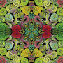 INCANDESCENT BOUQUET GREEN/MULTI
