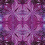 INCANDESCENT REFLECTIONS FUCHSIA