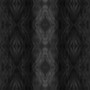 INCANDESCENT TRANSITIONS BLACK