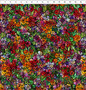 DEAR CLARA - GARDEN MULTI