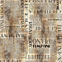 VIVACE MUSICAL TEXT