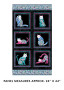 CAT'S MEOW PANEL - BLACK/MULTI