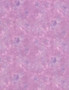 WATERCOLORTEXTURE - LAVENDER