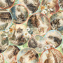 PURRFECT GARDEN CAT CIRCLE VIGNETTES
