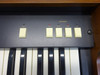 Korg CX3 Analog Drawbar Organ with Padded Carrying Case