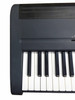 Roland FP-8G Advanced SA Synthesis Digital Piano