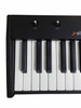 Studiologic Numa Compact 2x 88-key Semi-Weighted Keyboard with Aftertouch