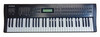 Alesis QS 6.1 64 Voice Expandable Synthesizer