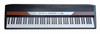 Korg SP-250 Digital Piano