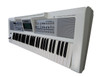 Roland E-09W Interactive Arranger