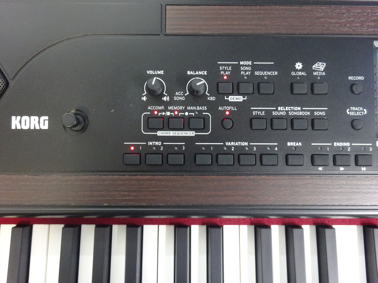 Korg Havian 30 Digital Ensemble Piano