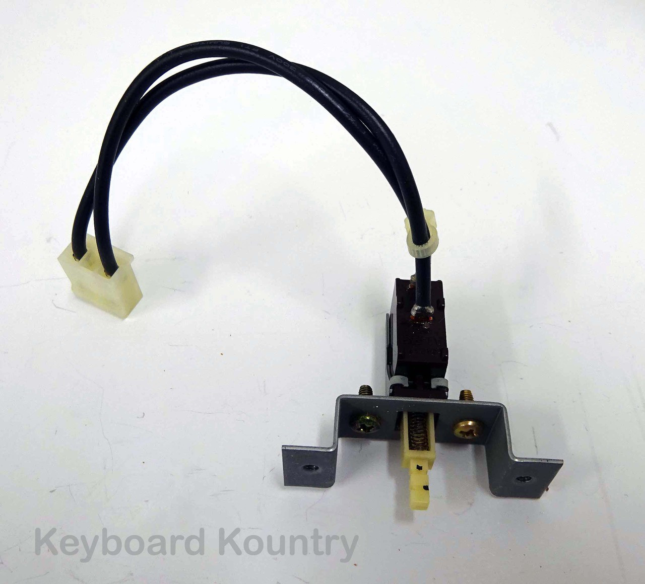 Korg T3 Power Switch Assembly