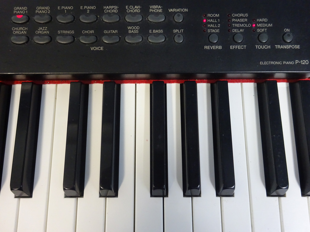 Yamaha P-120 Graded Hammer Effect Digital Piano