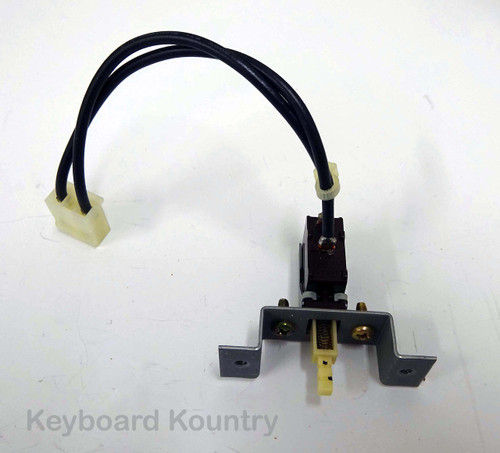 Korg T3 Power Switch Assembly