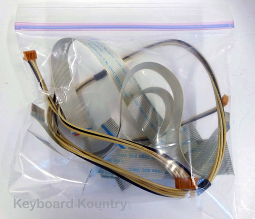 Roland RD-600 Cable/Wire Harness