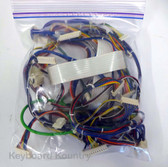 Roland S-50 Complete Wire/Cable Harness