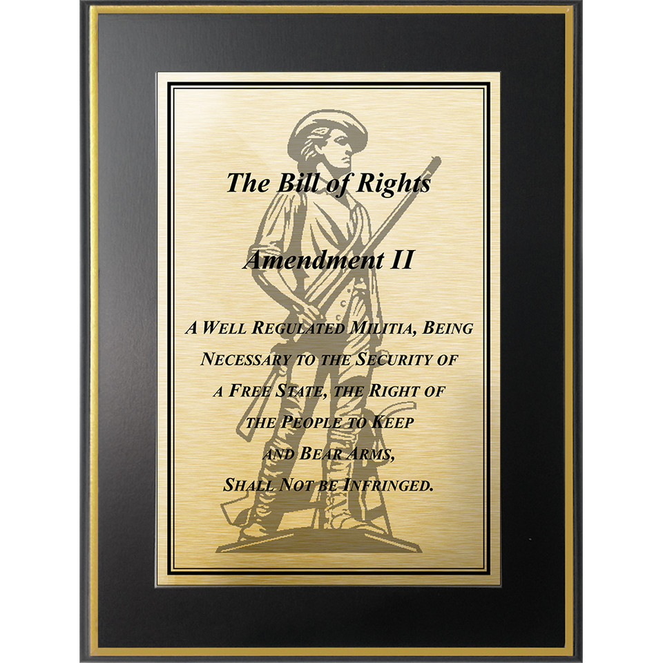 The Bill Of Rights 2nd Amendment Frame Main Image