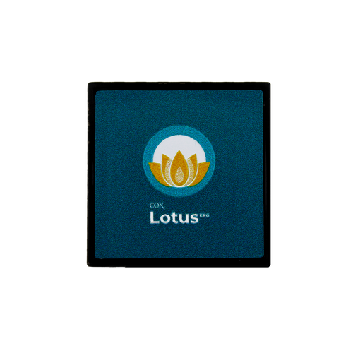 Lotus ERG Square 1" Lapel Pin