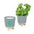 Modern Sprout Glow & Grow Gift Set
