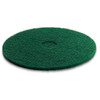 Windsor 6.369-790.0 - Pad green product image