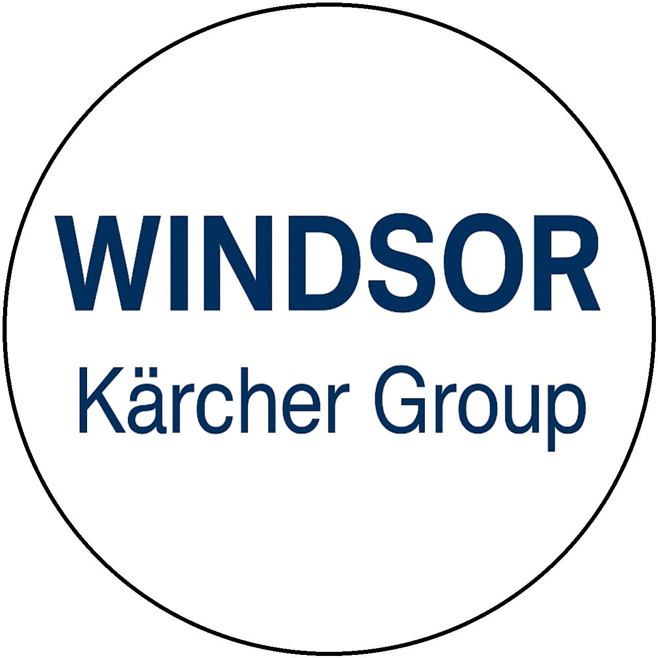 Windsor 8.635-361.0 - CONTROLLER, CS20 - manufacturer logo
