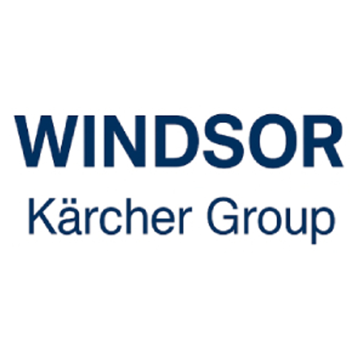 Windsor 8.635-361.0 - CONTROLLER, CS20 - thumbnail logo