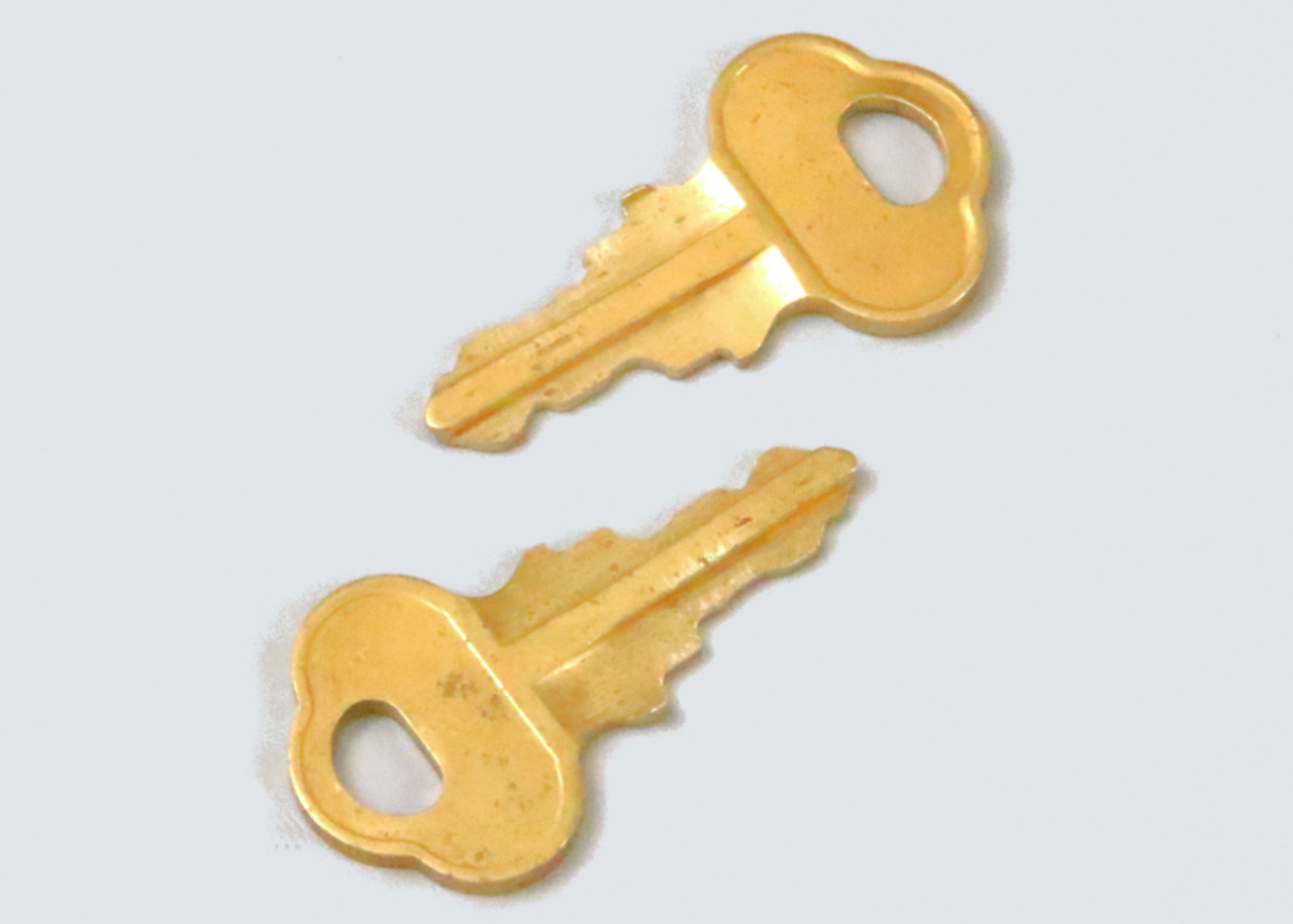 Tennant 222684 - Aftermarket Key, Set Of Two part image