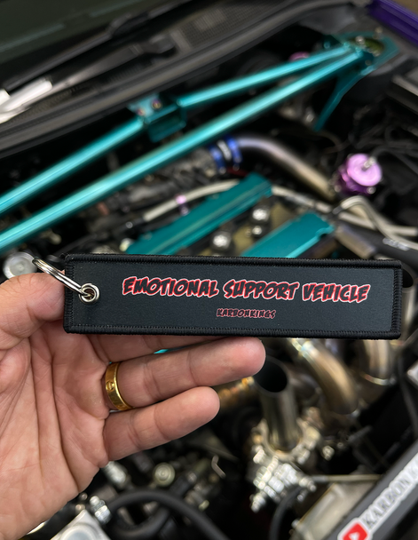 Emotional Support Vehicle