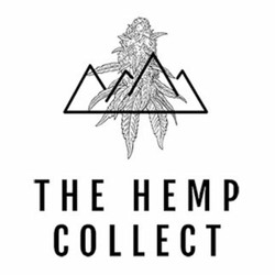 The Hemp Collect Delta 8 Products The Hemp Collect Delta 8 Products