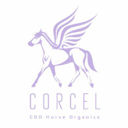 Corcel Corcel