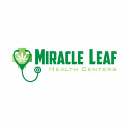 Miracle Leaf Miracle Leaf