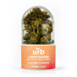 Urb Badder Liquid Delta 8 - THCA - THC-B - THC-P Flower 7G