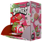 Zoomers Mushroom Single Duo Gummy