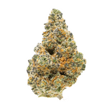Gold Spectrum THCA Flower (Exotic) 1lb Bag Cheetoz Gold Spectrum THCA Flower (Exotic) 1lb Bag Cheetoz