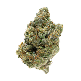 Gold Spectrum THCA Flower (Top) 1lb Bag Blue Gushers Gold Spectrum THCA Flower (Top) 1lb Bag Blue Gushers