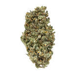 Gold Spectrum THCA Flower (Top) 1lb Bag Thin Mints Gold Spectrum THCA Flower (Top) 1lb Bag Thin Mints