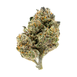 Gold Spectrum THCA Flower (Top) 1lb Bag Sherb 33 Gold Spectrum THCA Flower (Top) 1lb Bag Sherb 33