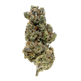 Gold Spectrum THCA Flower (Top) 1lb Bag Cherty Dosi Gold Spectrum THCA Flower (Top) 1lb Bag Cherty Dosi