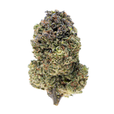 Gold Spectrum THCA Flower (Top) 1lb Bag Punch Larry Cookies Gold Spectrum THCA Flower (Top) 1lb Bag Punch Larry Cookies