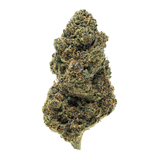 Gold Spectrum THCA Flower (Top) 1lb Bag Double Cake Gold Spectrum THCA Flower (Top) 1lb Bag Double Cake