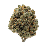 Gold Spectrum THCA Flower (Top) 1lb Bag Blue Nerds Gold Spectrum THCA Flower (Top) 1lb Bag Blue Nerds