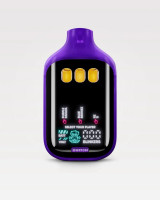 Boutiq Switch V5 THC-A Disposable 2g