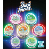 Cloud Nurdz Nicotine Pouches